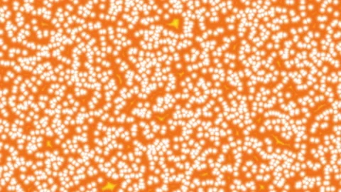 Visual color background. Generation of visual effects. Background for video Video stock 236546017