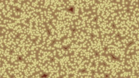 Visual color background. Generation of visual effects. Background for video Video stock 236547176