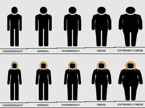 Visual comparison among different types of body mass Stock Illustration