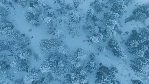 Visual documentation of frigid terrain and ecological mapping endeavors Stock Footage 321435130