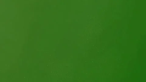 Visual Dust Overlay for Green Screen Stock Footage 306036142