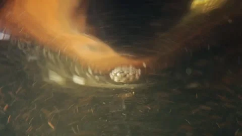 Visual effect swirling water with particles Stock Footage 254451392