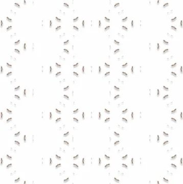 Visual Fractured Pattern Illusion Fractal Smooth Texture Collection for Cre.. Stock Illustration