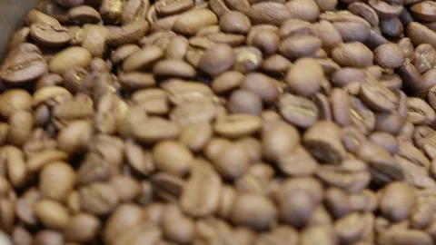 Visual insights into coffee production process and quality assurance in an Stock Footage 302966930