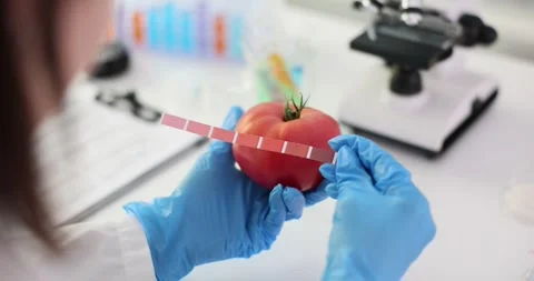Visual quality control of tomatoes using a color scale in laborator Stock Footage 273692018
