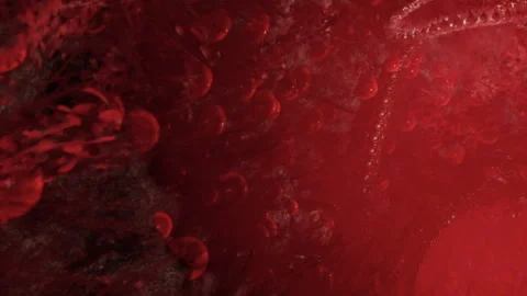 Visual representation of blood flow in a human body Stock Footage 343564185