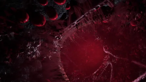 Visual representation of cells in a stylized dark background with red elements Stock Footage 342049101