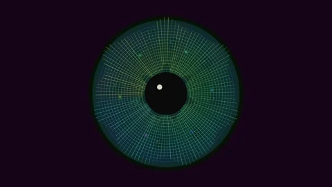 Visual representation of a circular pattern with lines and dots Stock Footage 337073522