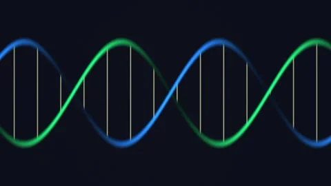 Visual representation of DNA strand with green and blue Stock Footage 338083747