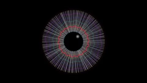 Visual representation of sound waves in a circular pattern Stock Footage 337073511