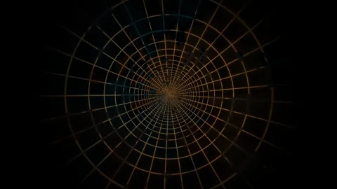 Visual representation of a web structure with circular Stock Footage 339969630