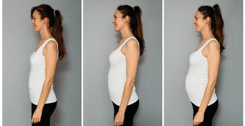 Visual timeline of healthy second trimester pregnancy. Middle stage of matern Stock Photos
