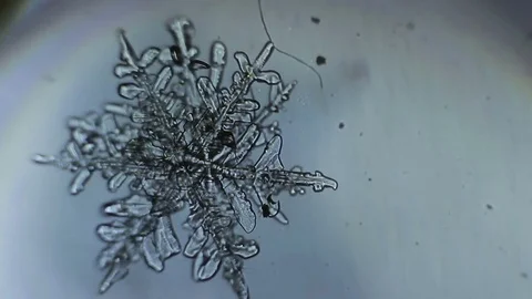 Visual transition of water from solid to liquid. Video stock 72788303