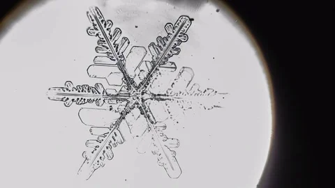 Visual transition of water from solid to liquid Video stock 72850014