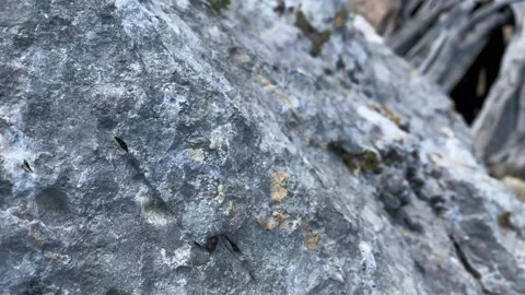 Visuale sul Canyon "Su Gorropu" - Sardegna Stock Footage 134333712