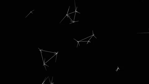 Visualisation of neural signals. White lines connect to each other on a black Stock Footage 233438796