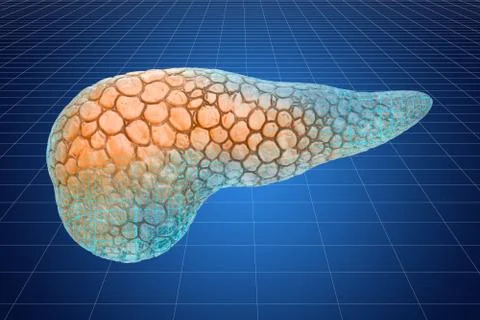 Visualization 3d cad model of human pancreas, 3D rendering Stock Illustration