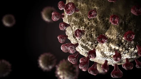 Visualization of Corona Virus aka Sars Cov-2 Virus Covid 19 Video stock 126885161