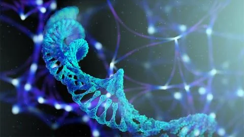 Visualization of the DNA of brain cells - neurons. Dna in the form of a Stock Illustration