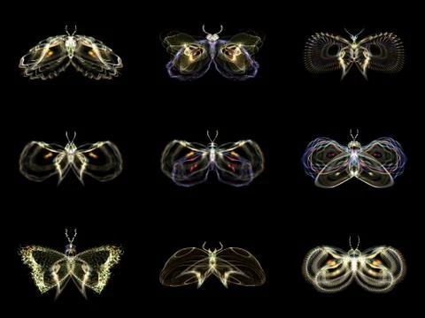 Visualization of Fractal Butterflies Stock Illustration