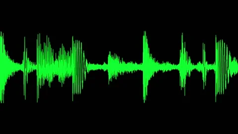 Visualization of human speech. Green wave showing the amplitude of the sound. Stock Footage 135315832