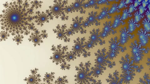 Visualization of the Mandelbrot set, creating complex and colorful fractal .. Stock Footage 311548997