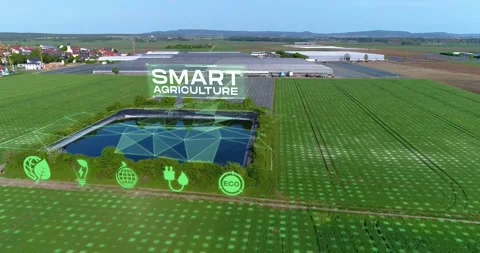 Visualization of modern greenhouses. The concept of modern industrial Video stock 293138770