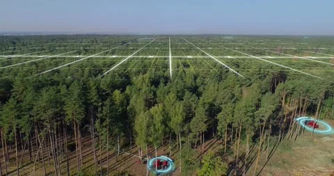 Visualization of the modern logging industry. Woodcutting with modern equipment Vidéo 213290824