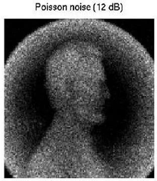 Visualization of Poisson Noise at 12 dB on Grayscale Image for Signal Proce.. Stock Photos