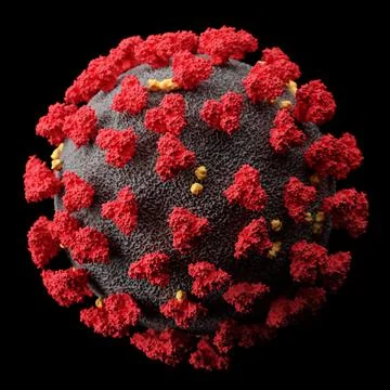 Visualization of the SARS-CoV-2 virus (COVID19) Stock Illustration