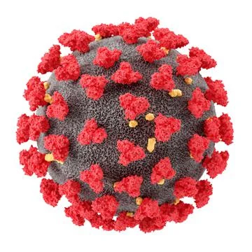 Visualization of the SARS-CoV-2 virus (COVID19) Stock Illustration