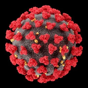 Visualization of the SARS-CoV-2 virus (COVID19) Stock Illustration