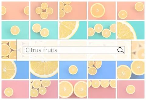 Visualization of the search bar on the background of a collage of many pictur Stock Photos