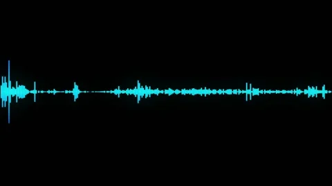 Visualization of voice record, artificial intelligence. Music equalizer, audio Stock Footage 143089271