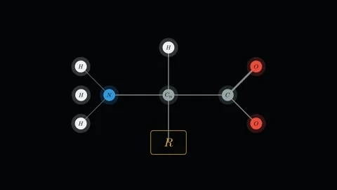 Visualize the Chemistry of Amino Acids 스톡 동영상 335764573