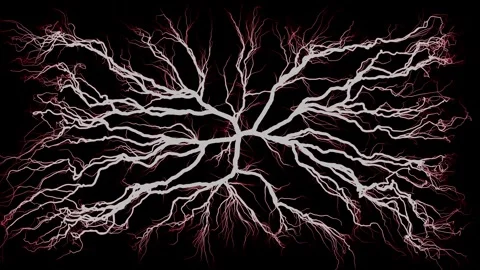 Visualizing brain networks. Tree roots and neural connections. Stock Footage 304488719
