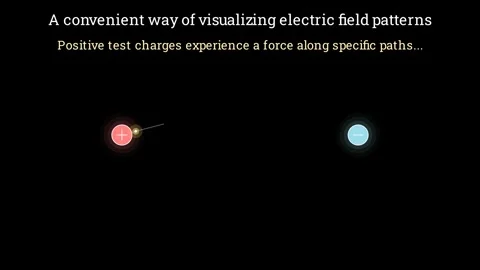 Visualizing the Electric Field Lines Stock-Footage 336825221