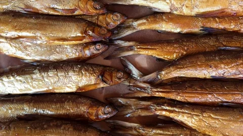A visually appealing display of smoked fish, highlighting texture Video stock 283085662
