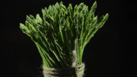 A visually stunning vibrant green asparagus spears on a black background Stock Footage 241511947