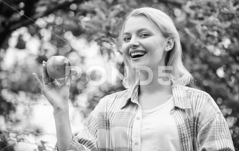 Vitamin in apple. spring harvest. summer fruit. healthy teeth. hunger. orchard Stock Photos