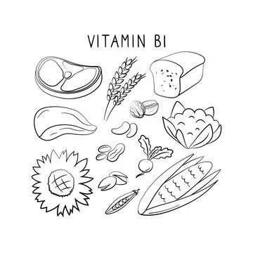 Vitamin B1 Thiamin . Groups of healthy products containing vitamins. Set of Stock Illustration