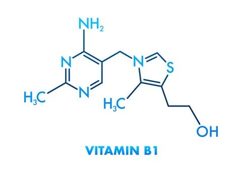 Vitamin B1 thiamine molecular structure chemical formula Ilustração Stock