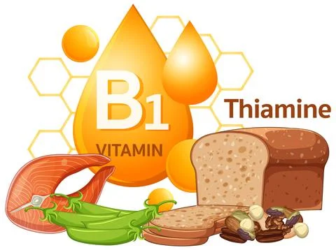 Vitamin B1 Thiamine Sources with Bread, Salmon, Nuts, and Peas 스톡 일러스트