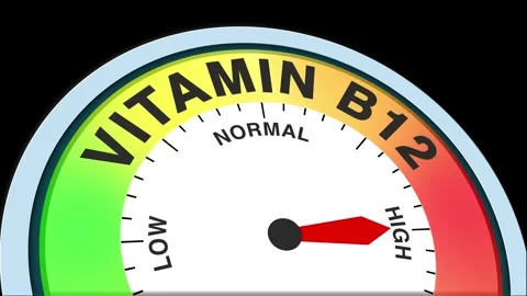 Vitamin B12 Level Text or Word  Low and Medium to High Meter Concept Stock Footage 288578425