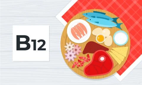 Vitamin B12 vector flat illustration. Products with the maximum content of Stock Illustration