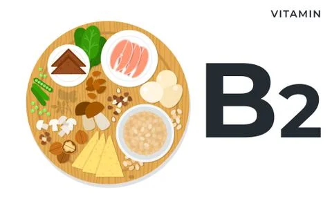 Vitamin B2 or riboflavin flat style vector illustrations. Healthy lifestyle and Stock Illustration