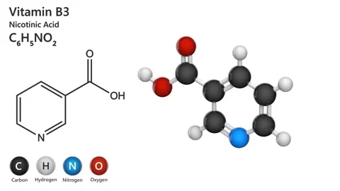 Vitamin B3(Nicotinamide). Seamless loop. Stock Footage 152468843