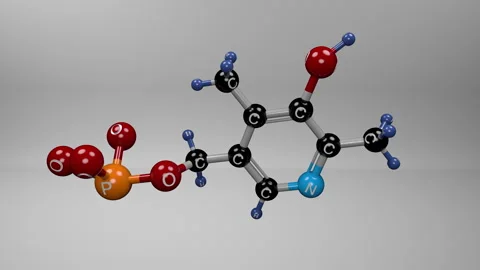 Vitamin B6 molecule. Stock Footage 307226672
