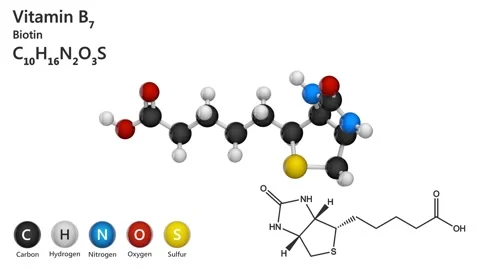 Vitamin B7 (biotin). Seamless loop. Stock Footage 152406052