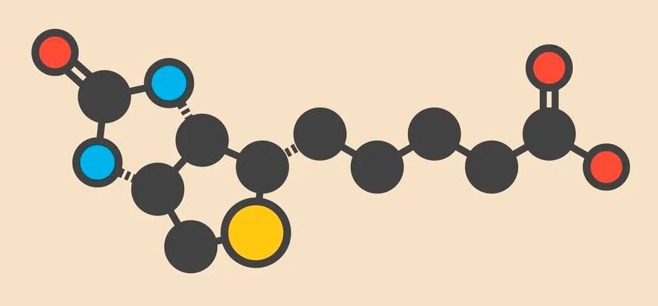 Vitamin B7 molecule Illustrazione stock